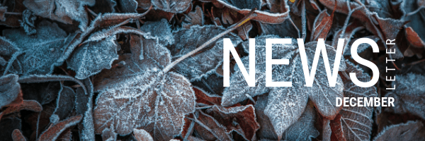 December Newsletter Example Image